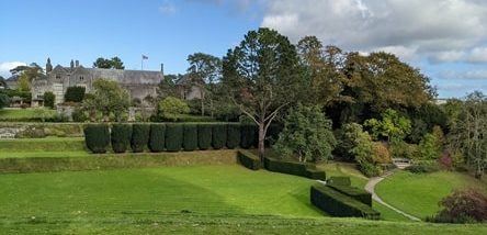 Dartington Hall gardens, right next to Geoff Green's therapy room